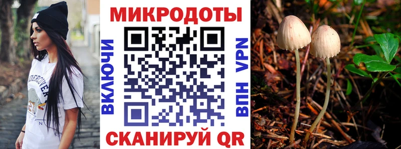 Галлюциногенные грибы мицелий  Купить где  Фрязино 
